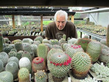 Cactusverzamelaars tonen unieke collecties - Beringen