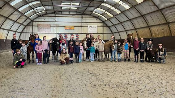 Carnavalskamp bij ponyclub De Vlindervallei - Lommel