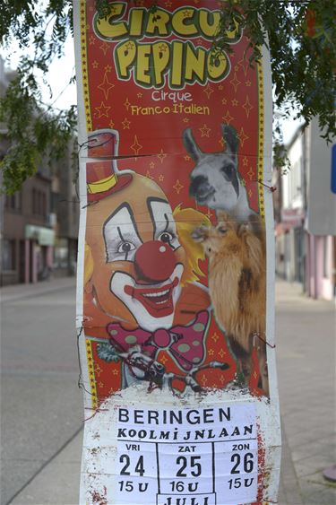 Circus Pepino komt naar Beringen - Beringen