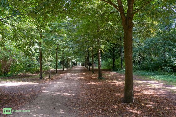 Bree - Code geel voor brandgevaar in Limburg