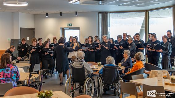 Concert van Lokomotief in De Bekelaar - Lommel