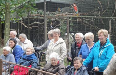 Corsala op bezoek in zoo van Olmen - Beringen