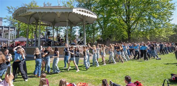 Creatia zette Dommelhofbos op z’n kop - Pelt