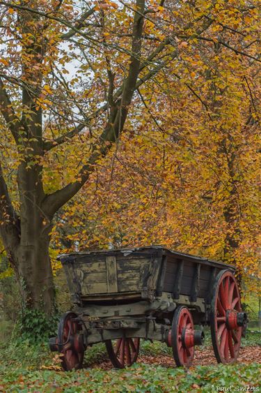 Daar bij die molen... - Pelt