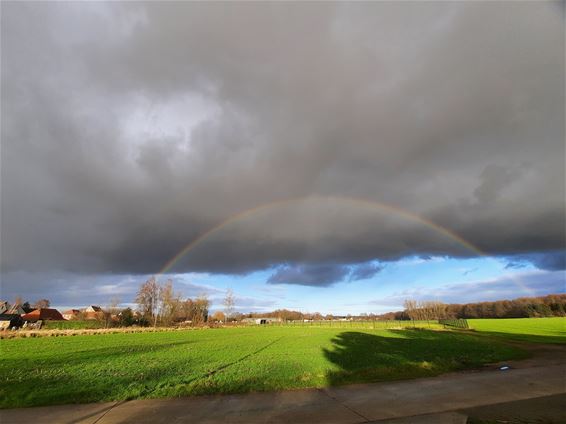 Daar is de regenboog weer - Pelt