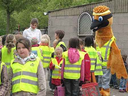 Daar stond de 'renvogel' - Overpelt