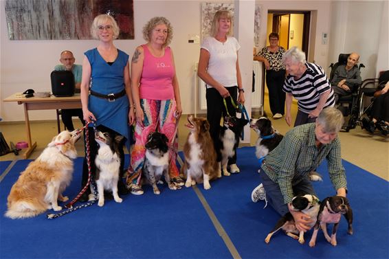 Dansende honden zorgen voor veel plezier - Beringen