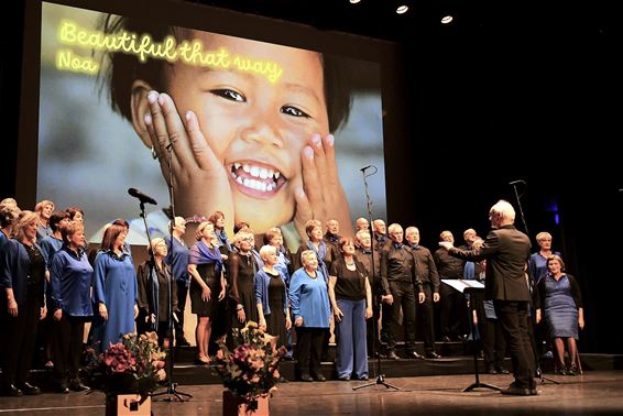 Daytime start de repetities en zoekt stemmen - Pelt