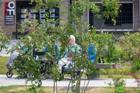 De aantrekkingskracht van de bank - Pelt
