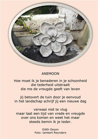 De anemoon - Beringen & Leopoldsburg