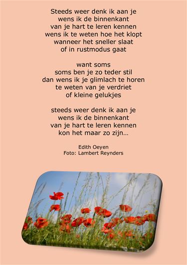 De binnenkant van je hart - Beringen & Leopoldsburg