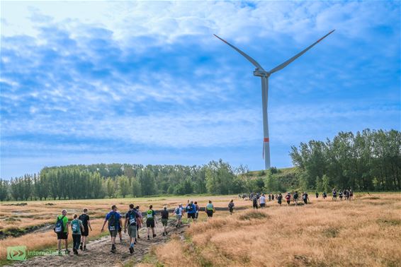 De deelnemers van de 50K Boslandtrail in beeld