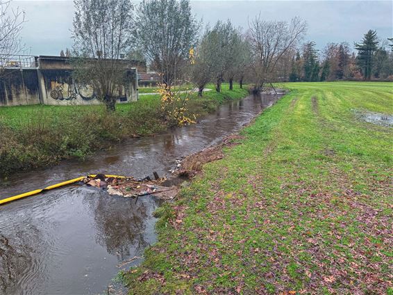 De Dommel stond weer hoog - Pelt