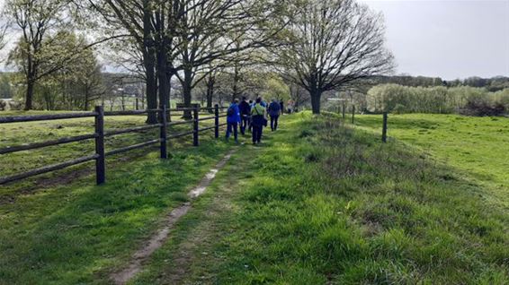 De Dommeltrippers naar Deurne-Diest en Okselaar - Pelt