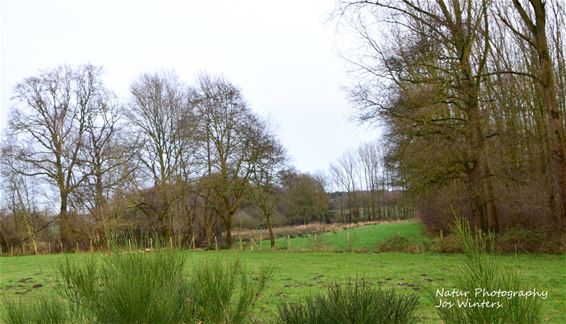 De Dommelvallei vanuit Blijlever - Peer