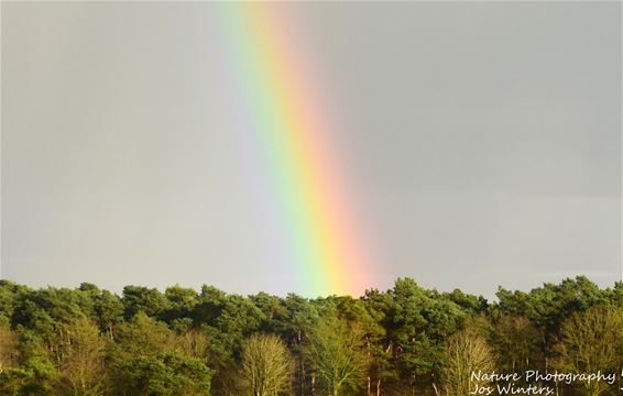 De eerste regenboog van 't jaar - Peer