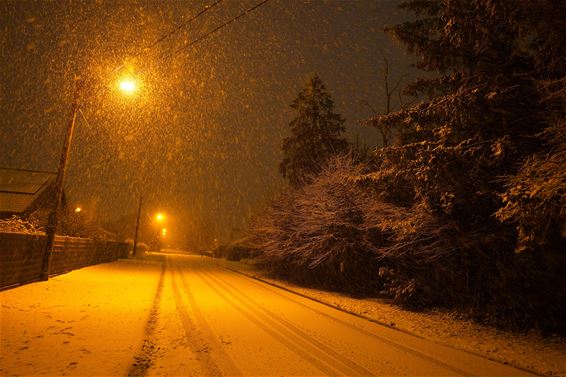 De eerste sneeuw - Beringen