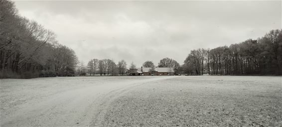 De eerste sneeuw - Peer