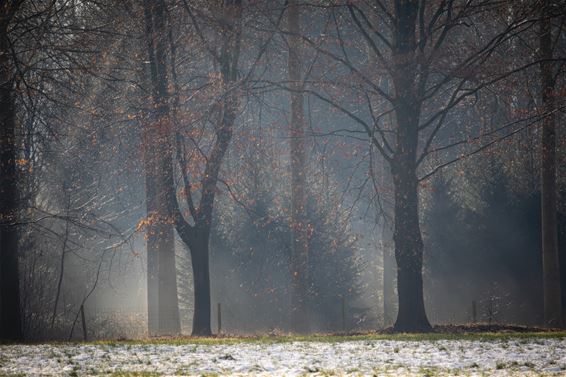 De eerste sneeuw, door de lens van Leon - Lommel