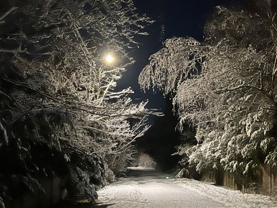 De eerste sneeuw in Kerkhoven - Lommel