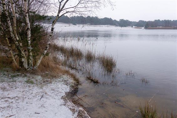 De eerste winterprik, de eerste sneeuw - Lommel