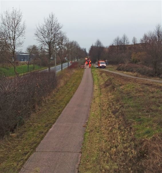 De fietspaden liggen er weer fris bij - Peer