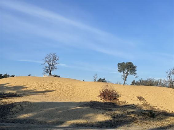 Hechtel-Eksel - De grootste zandbak van Vlaanderen