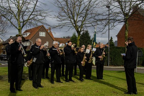 De Harmonie, een vaste waarde op 11 november - Pelt