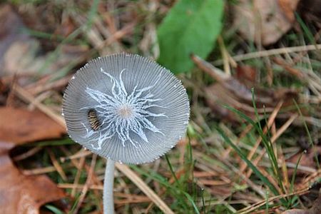 De herfst is in het land... - Lommel