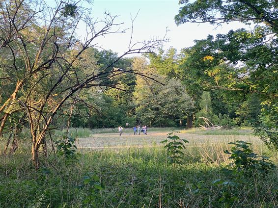 De hoeve in het Hobos, en de saxofoniste - Pelt