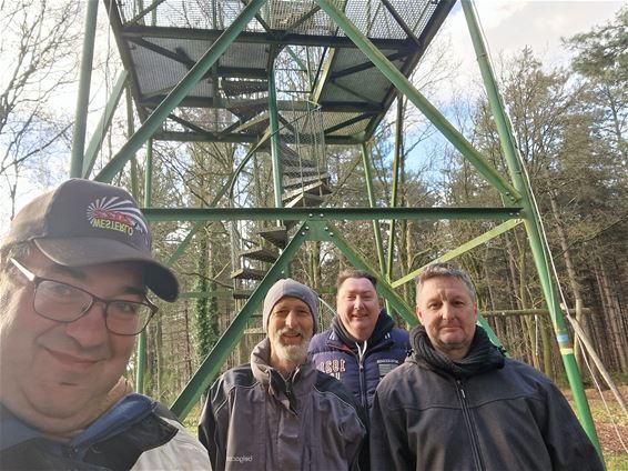 De hoogste en grootste kerstboom schittert weer - Pelt