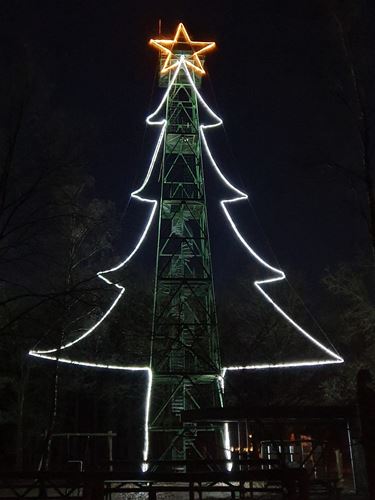 De kerstboom van de Kolis - Pelt