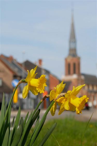 Beringen - De kleuren van Pasen