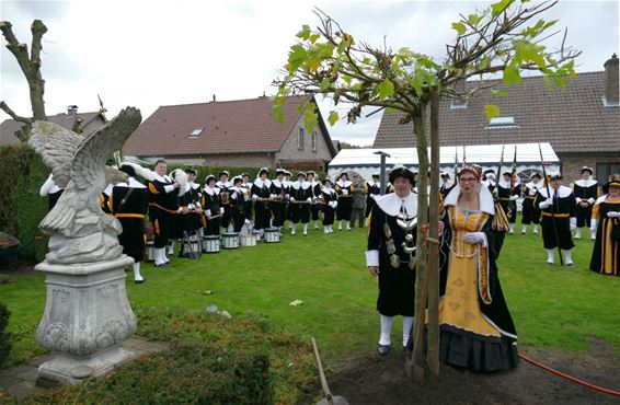 De koningsboom is geplant - Neerpelt
