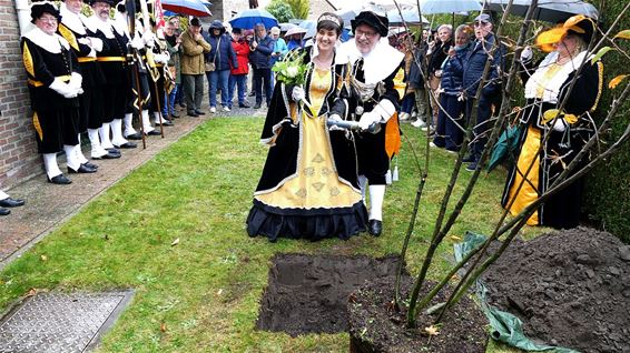 De koningsboom is geplant - Pelt