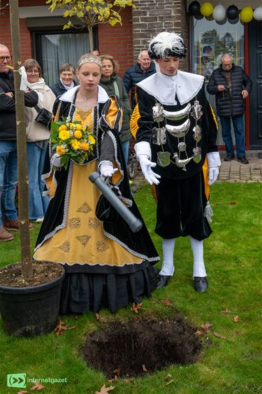 De koningsboom is geplant - Pelt