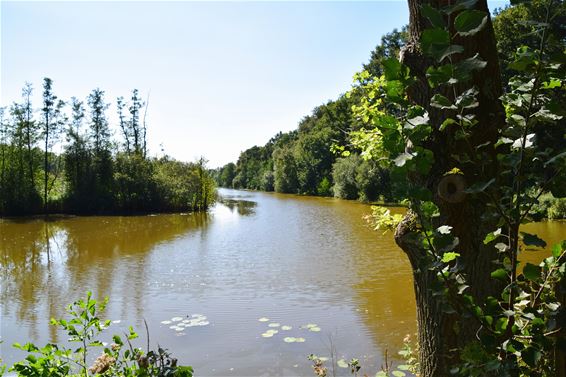 De Laambroekvijver - Houthalen-Helchteren