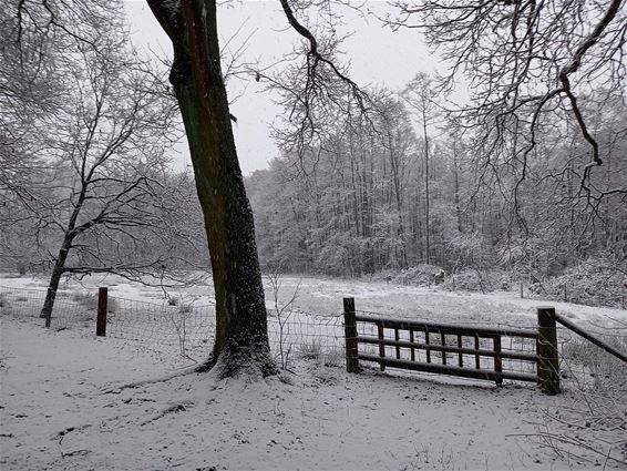 De laatste sneeuw? - Pelt