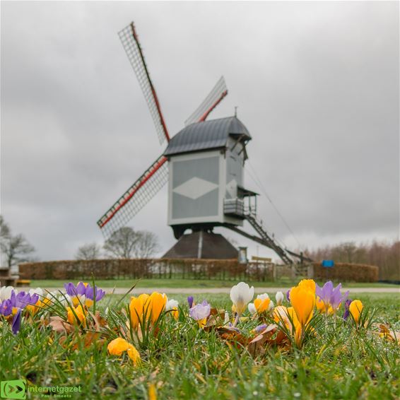De lente kondigt zich aan in Lommel - Lommel