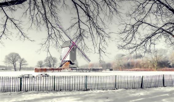 De Leyssensmolen in winterpracht - Lommel