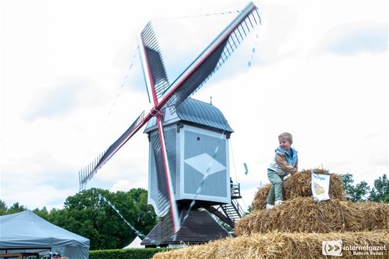 Molenfeesten waren een groot succes - Lommel