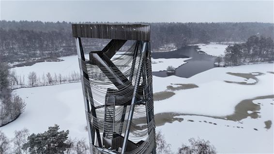 De Reus van Bosland in zwart/wit?