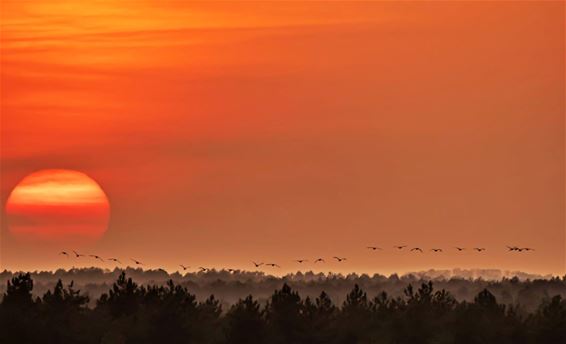 De rust van een prachtige zonsondergang - Lommel