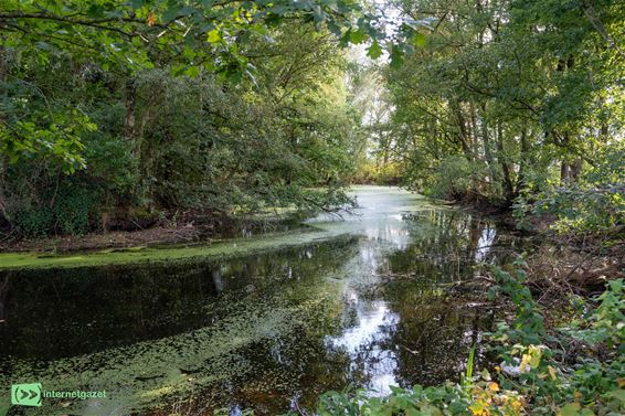 De schans 't Hasselt: nog in goede staat - Pelt