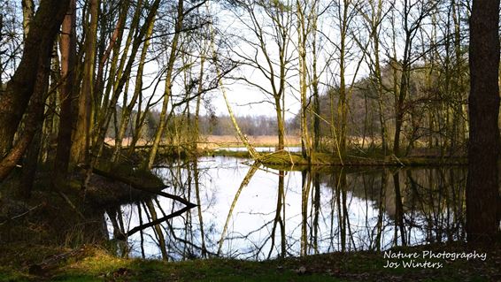 De Schuilenswijer - Hechtel-Eksel & Peer