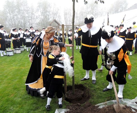 De schutterij plantte haar koningsboom - Neerpelt
