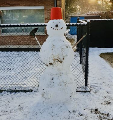 De sneeuwman! - Beringen