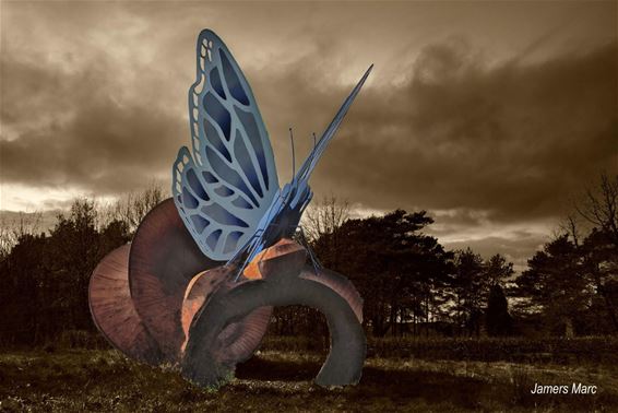Lommel - De vlinder in Kattenbos, een geliefd fotomodel