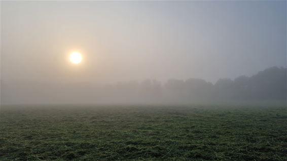 De zon, strijdend met de ochtendmist - Pelt