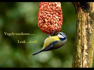 Denk aan de vogeltjes! - Pelt